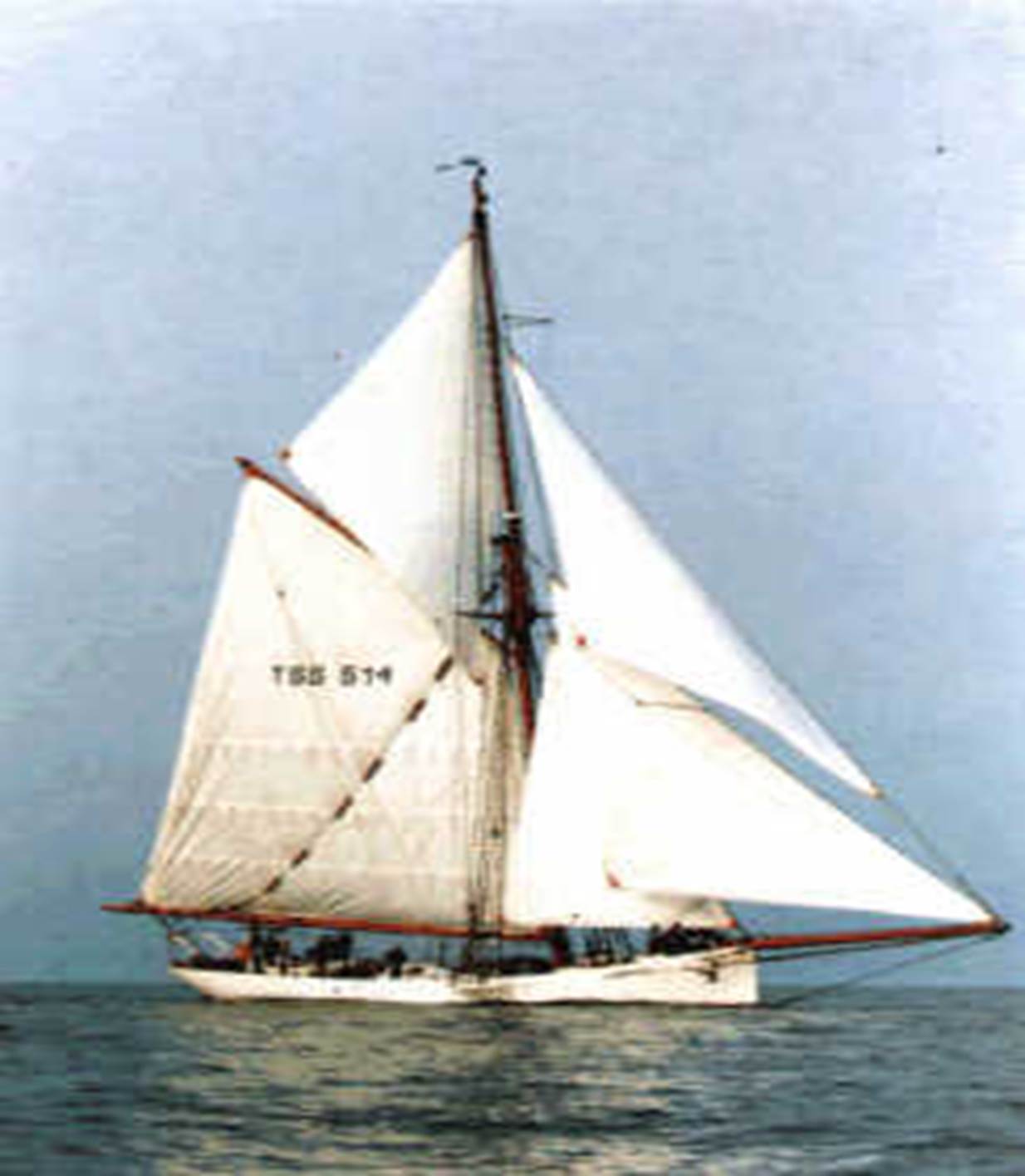 racing cutter Nobile